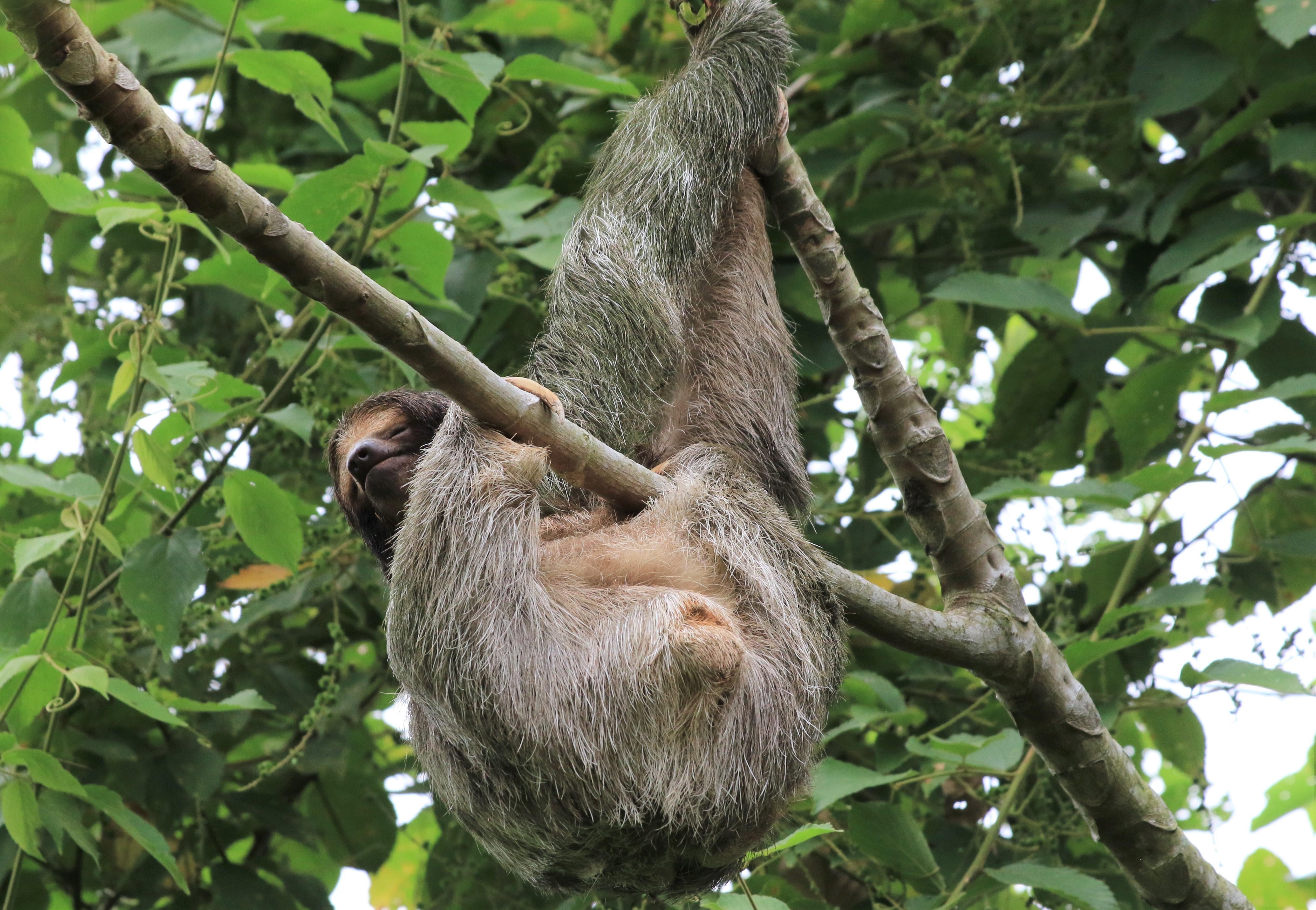 Costa Rica